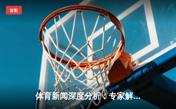 体育新闻深度分析：专家解读