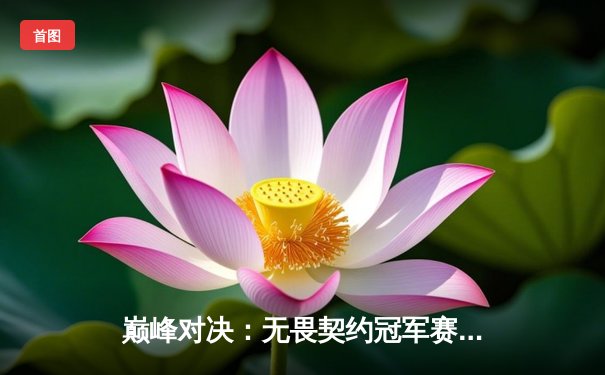 巅峰对决：无畏契约冠军赛FPX鏖战五局险胜GEN，斩获中国赛区历史首冠